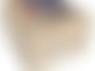 Buche de bois densifié