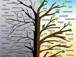 Screenshot_20200906-141533_Facebook.jpg