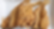 Screenshot 2025-07-24 at 9.21.03 AM.png