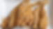 Screenshot 2025-07-24 at 9.21.03 AM.png