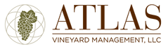 avm-logo-horizontal-transparent-2022.png