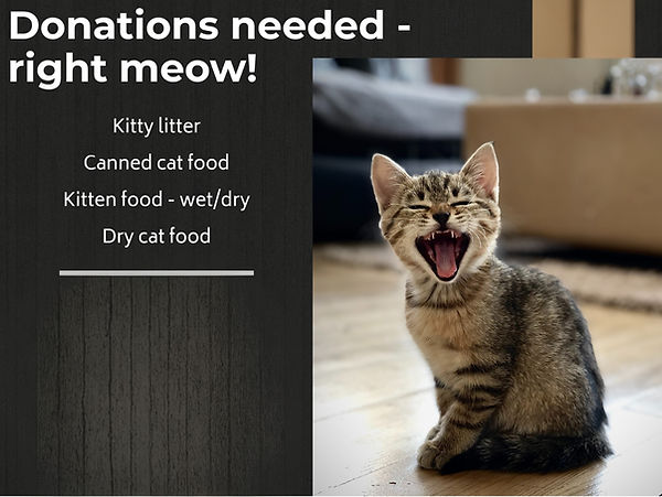 cat-food-donations-flyer___17194227077_edited.jpg