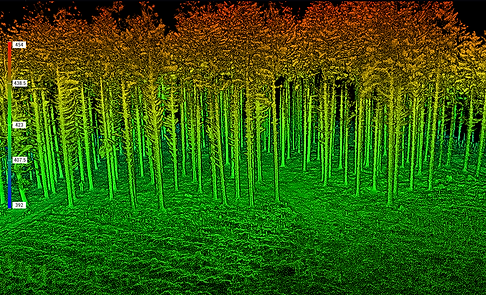 heatmap_waldinventur_Drohnenscan Huber OG.png