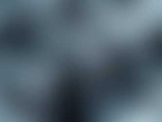 Mechanical gear assembly 