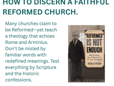 How to Discern a Faithful Reformed Church: A Warning to Families Looking for Sound Doctrine