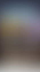 【ライブ情報更新】2026-2-22［名古屋市］