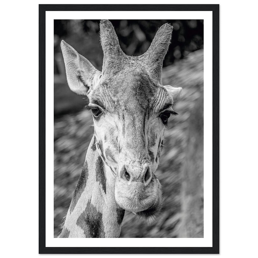 Thumbnail: Classic Semi-Glossy Paper Wooden Framed Poster - Standing tall