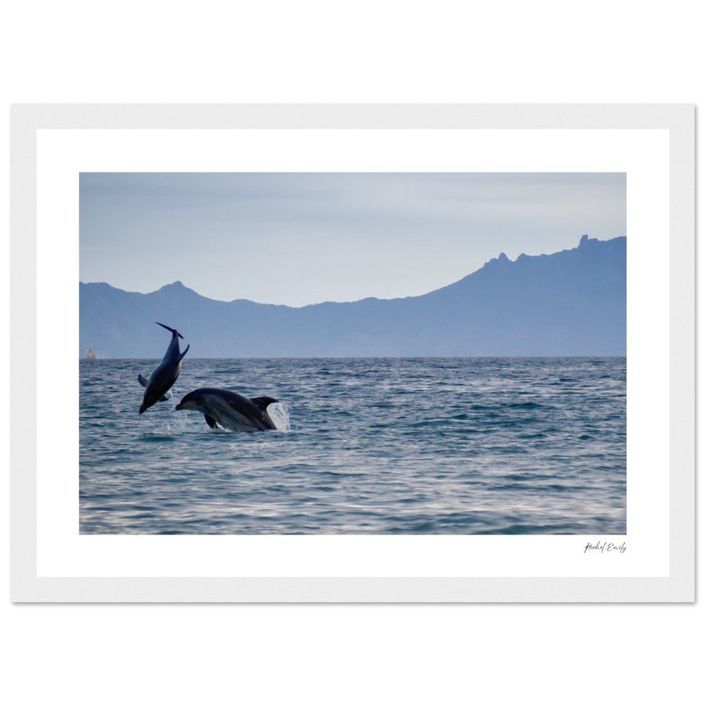 Classic Semi-Glossy Paper Wooden Framed Poster - Wild & Free