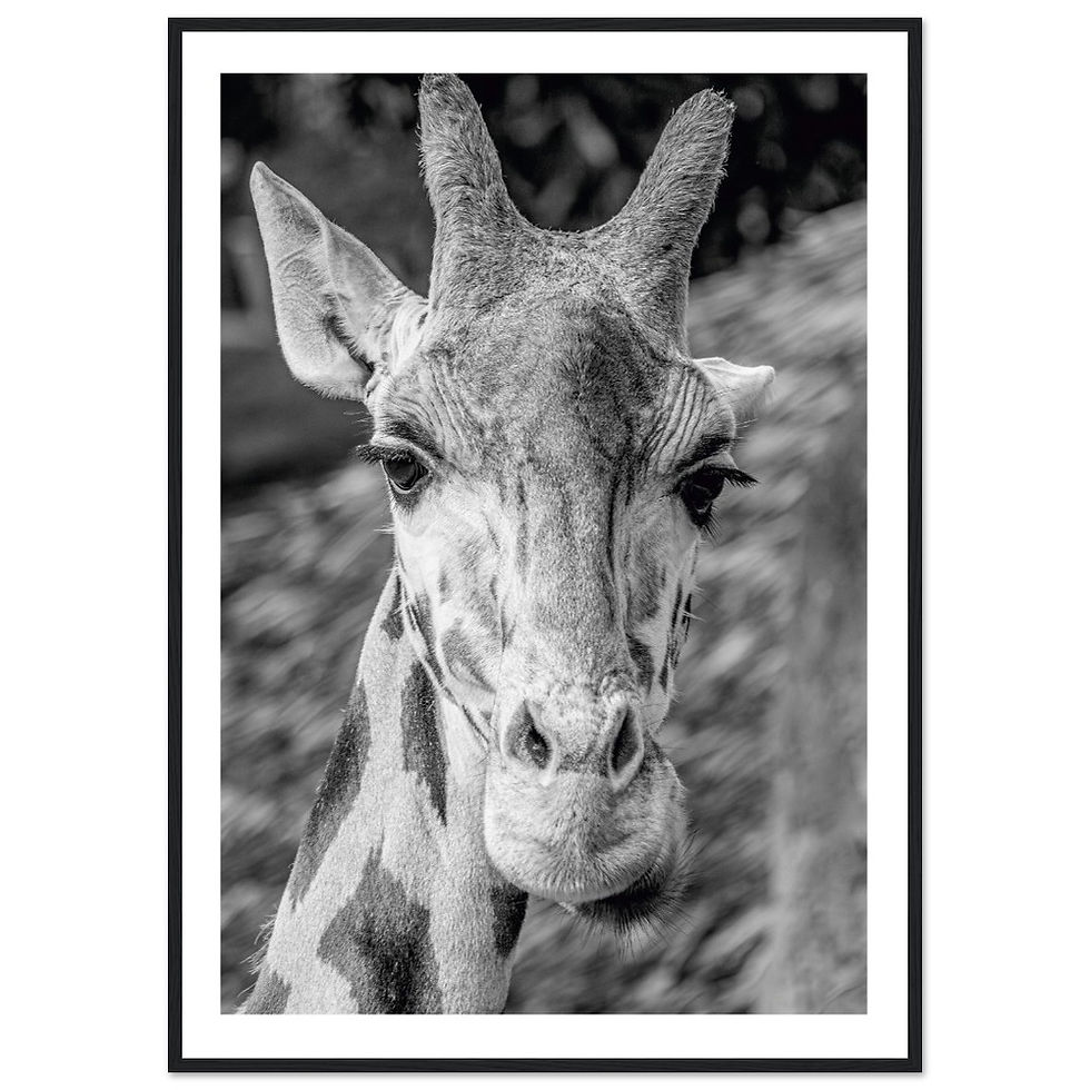 Thumbnail: Classic Semi-Glossy Paper Wooden Framed Poster - Standing tall