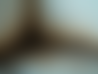 The Role of Mold Inspection Services