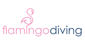 FlamingoDivingLogo_Color.png