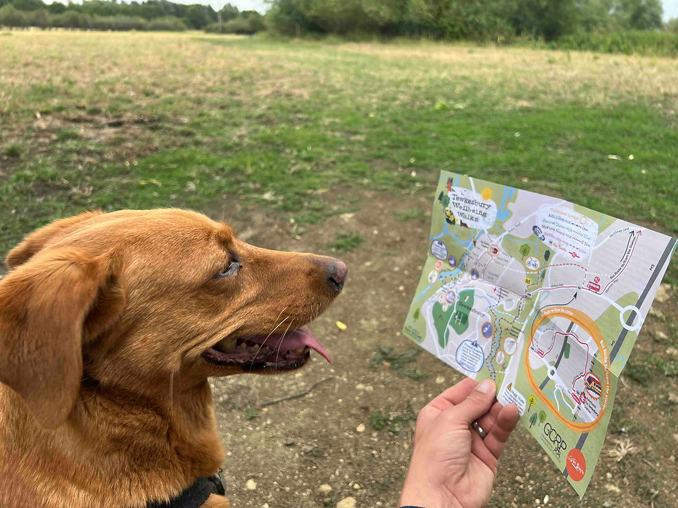 Dog reading the Tewkesbury Wellbeing Walk Map