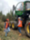 SDL team at a forestry site.