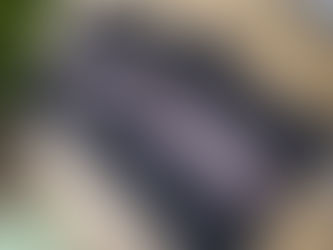 Les sobriquets des villages du Pays de Bitche : moqueries affectueuses & fiertés bien senties