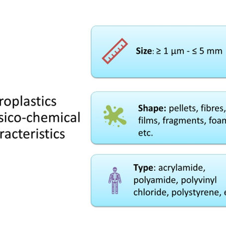 Microplastics in freshwater - A webinars' summary