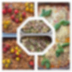 Italiaans buffet prijzen zijn per persoon