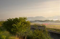 Airport, 1000x1500mm, Inkjet print, 2021
