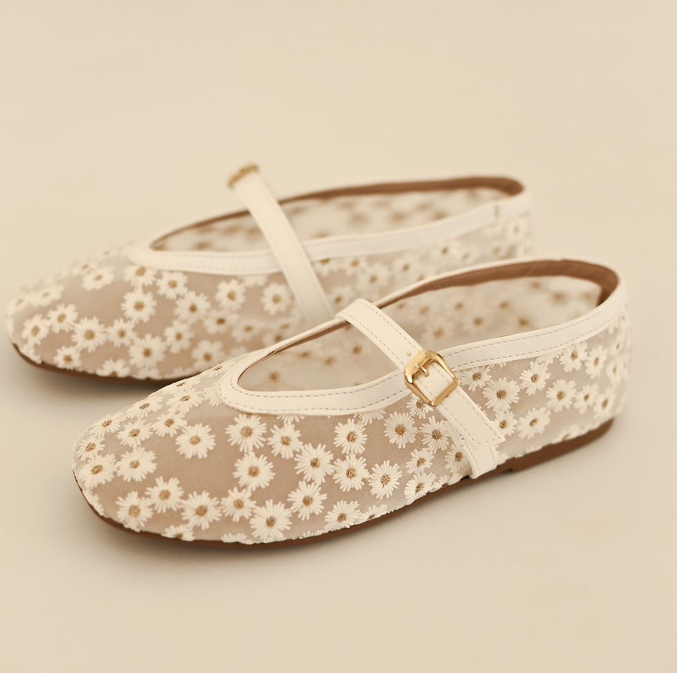 Miniatura: Ballet Livi