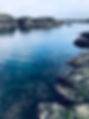 S__20480284.jpg