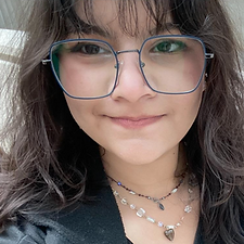 Screenshot 2025-06-09 at 8.14.48 PM.png