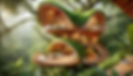 resized_treehouse_section_background (1).png