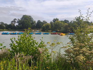 What's on this weekend - 10th–12th July