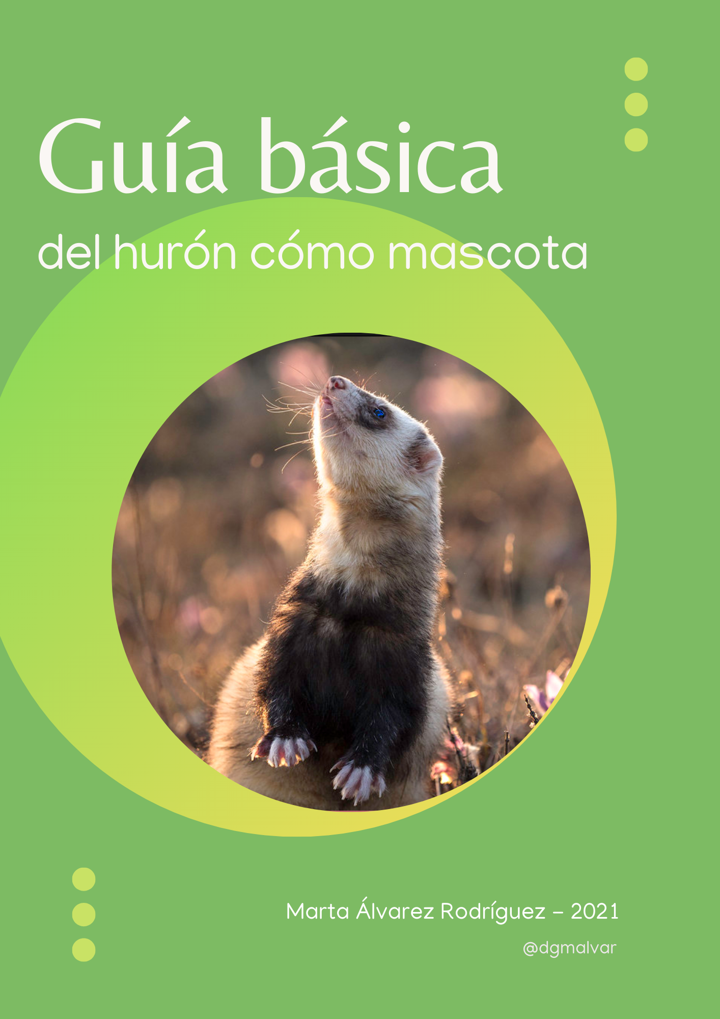 Guía básica del hurón cómo mascota.