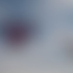 Review: "Home Is Where The Heart Is (Broken)" - Rachel Newnham