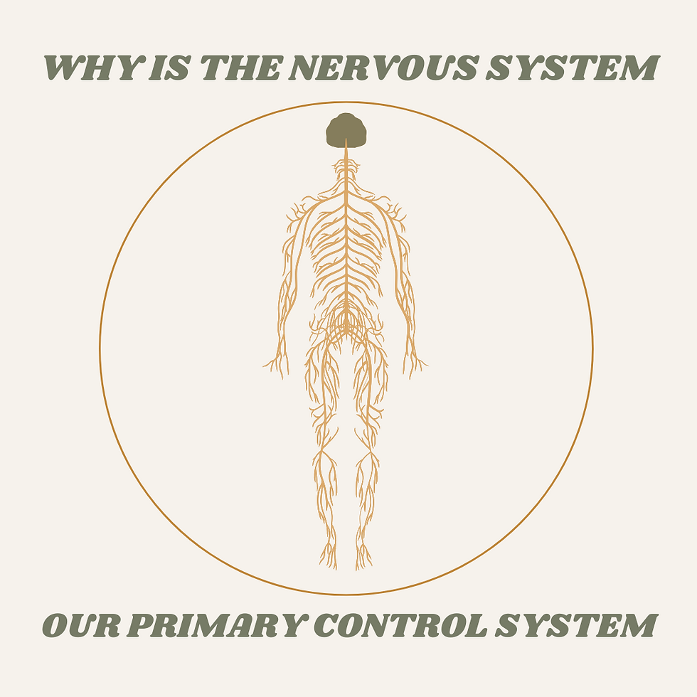 your bodies control center
