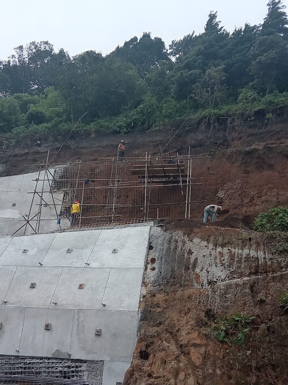 WhatsApp Image 2026-01-24 at 1.29.23 PM (1)