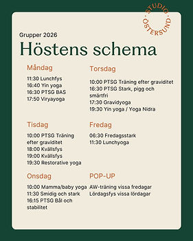 Schema hemsidan.jpg
