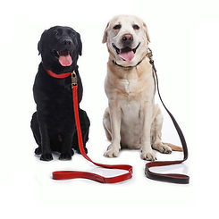 Super-qualidade-em-couro-genuíno-trela-do-cão-para_picture-1.jpg
