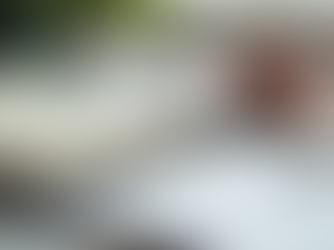 Unlock Success with Expert US Bookkeeping and Indian Tax Consulting