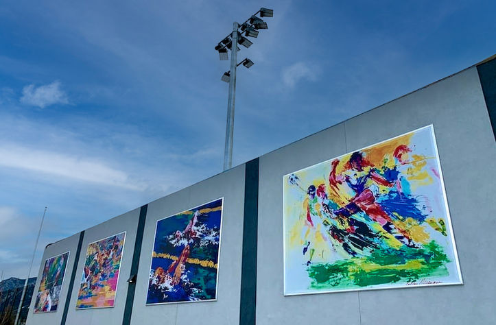 Leroy Neiman Supergraphics Installed Sky Replace copy.jpg