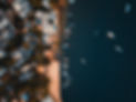 DJI_0071.JPG
