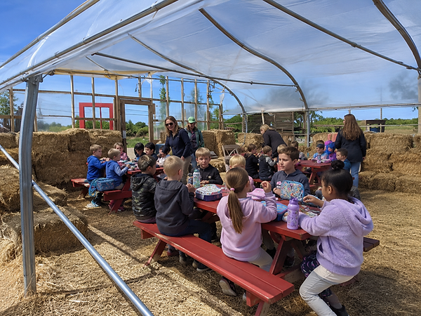 A day outdoors to move, discover and be amazed. Children enjoy the farm at their own pace while having an educational and fun experience.