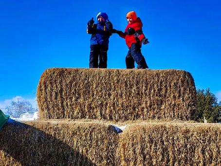 What to do with kids in Gatineau in winter? 9 family outing ideas