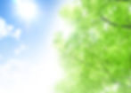青空&グリーン1.jpg