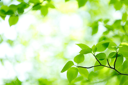 AdobeStock_600418871.jpeg