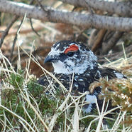 DSCN0390.JPG