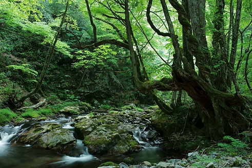 岡山の自然