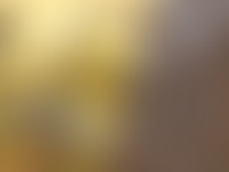 Diderot : Tahiti vs France