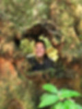ree