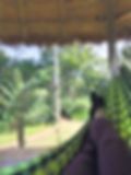Napping in the Hammock at Chunco Lodge