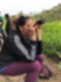 Bird Viewing for Macaws
