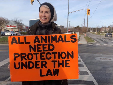 Defend Animals - A Farm Animal Sanctuary Fundraiser in Memory of Regan Russell