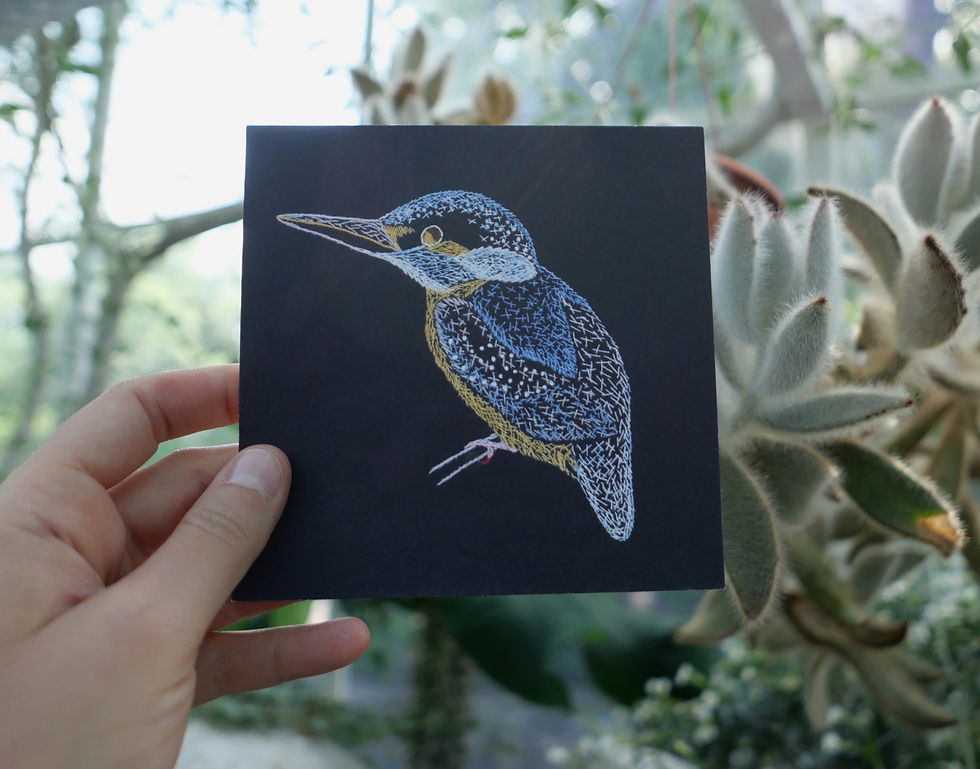 Miniaturbild: Animal Stories Karten klein