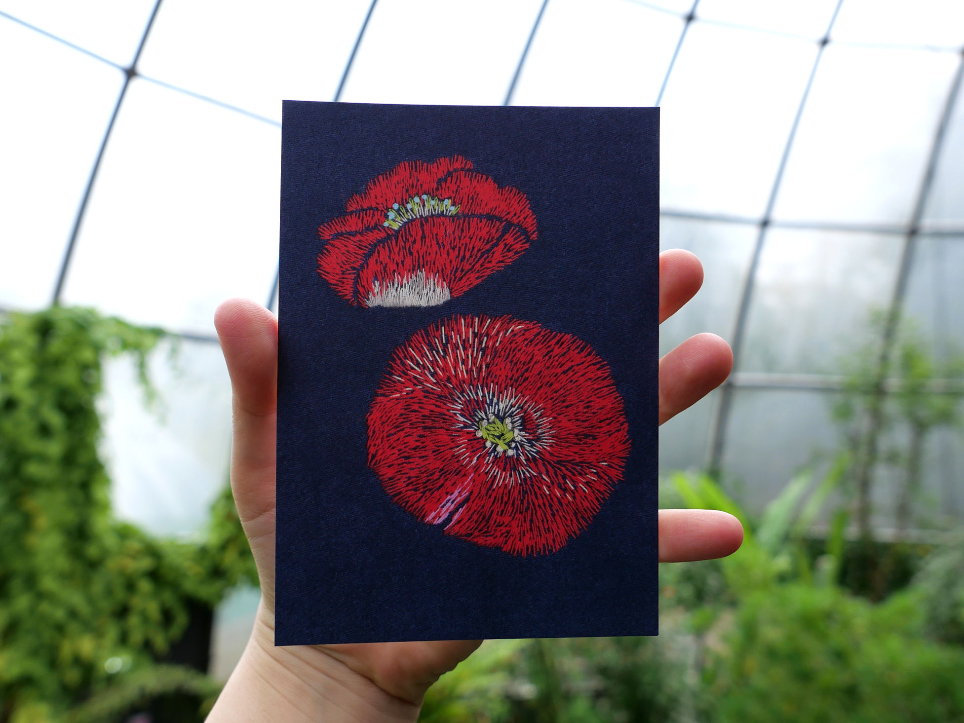 Mohnblumen Postkarte