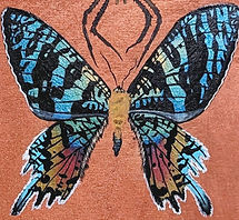 PXL_20231203_173001269~2 (1)_edited.jpg