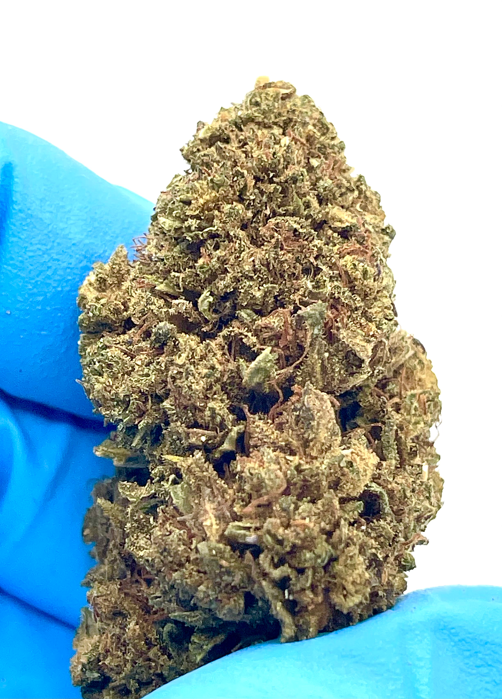 Thumbnail: Hemp Candy Kush